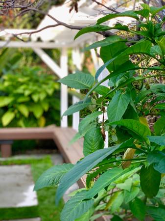 Listing photo 1 of 5