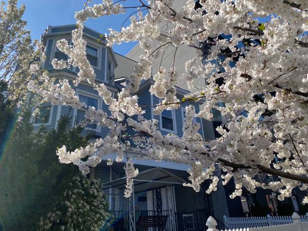 Listing photo 1 of 5