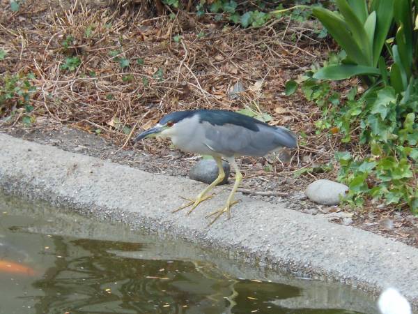 Listing photo 1 of 4